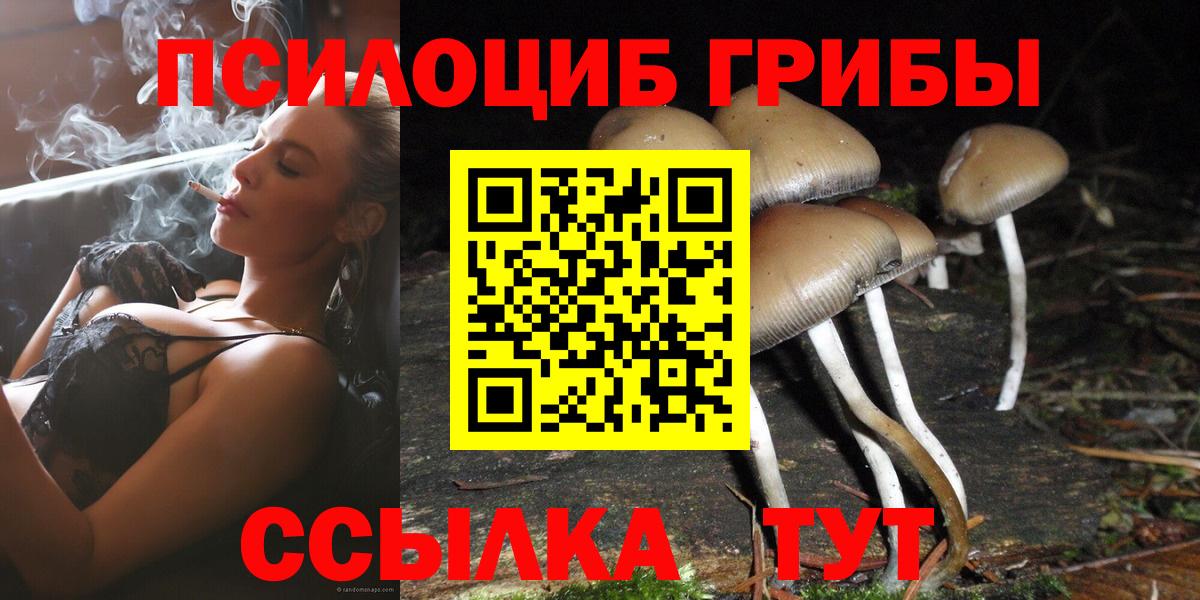 Черняховск  Галлюциногенные грибы GOLDEN TEACHER  Вход с VPN 