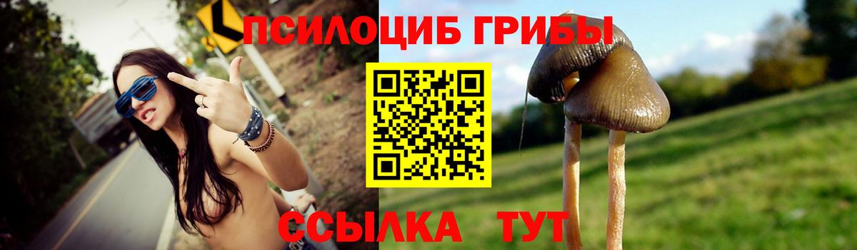 Галлюциногенные грибы ЛСД Черняховск